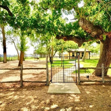 Farm gate under massive live oak trees at The Sanctuary
