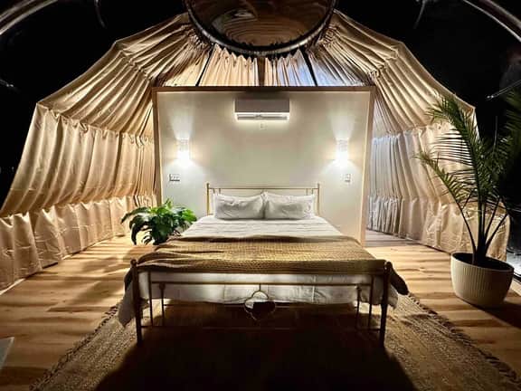 Draco at the Retreat - Image 4